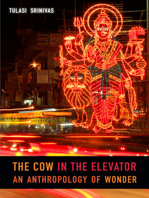 cover image of The Cow in the Elevator